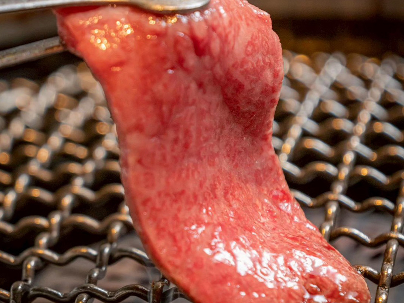 肉食コース